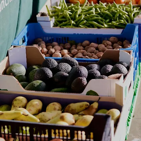 Yasmina * 플라야블랑카